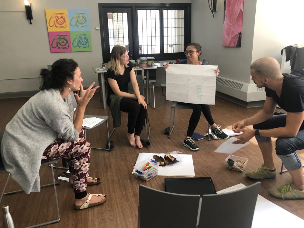 Emerging facilitators in training